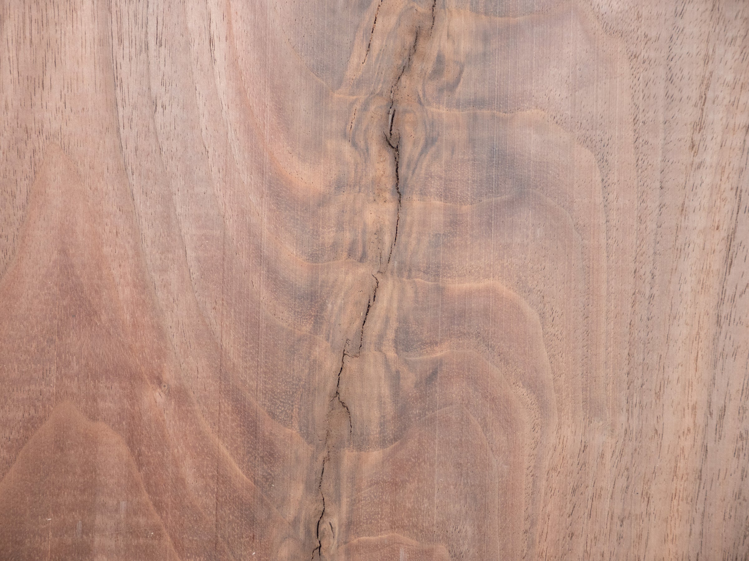 4/4 Live Edge Walnut